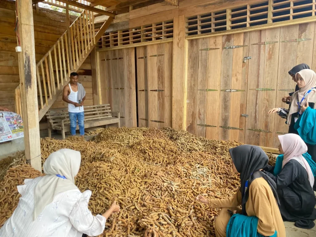 WhatsApp Image 2025-11-11 at 13.14.32_78aea5f9