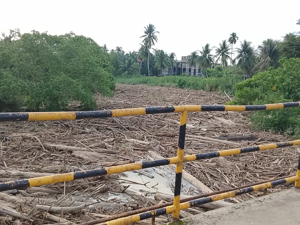 Tumpukan gelondongan kayu kembali terlihat memenuhi aliran sungai di Gampong Parang IX, Kecamatan Matangkuli, Kabupaten Aceh Utara. Minggu 7 juni 2026.