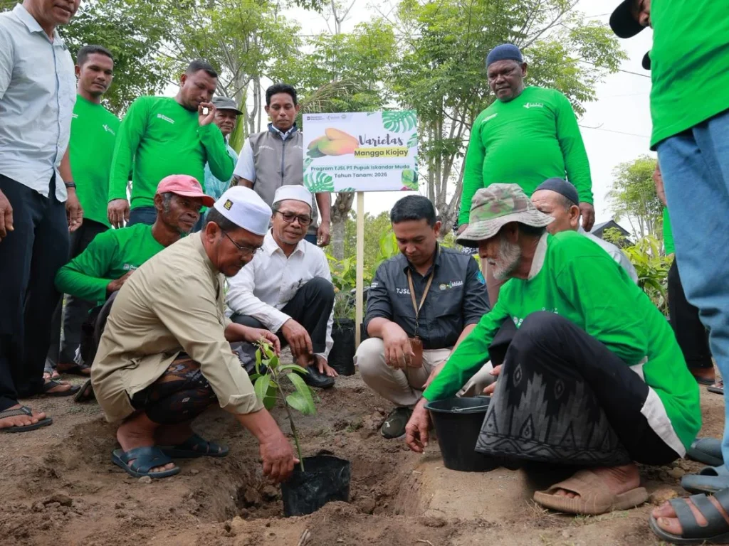 Kampung Mangga Resmi Diluncurkan di Aceh Utara, PT PIM Bagikan 600 Bibit Kiojay