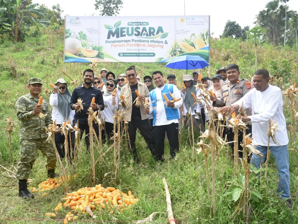 Momentum Hari Tani 2026, PLN NP UP Arun Dorong Kemandirian Petani Lhokseumawe melalui Program Meusara