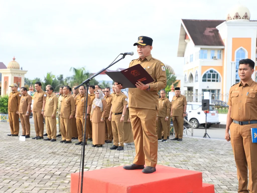 WhatsApp20Image202025-02-1820at2011.45.54_f00c6a78