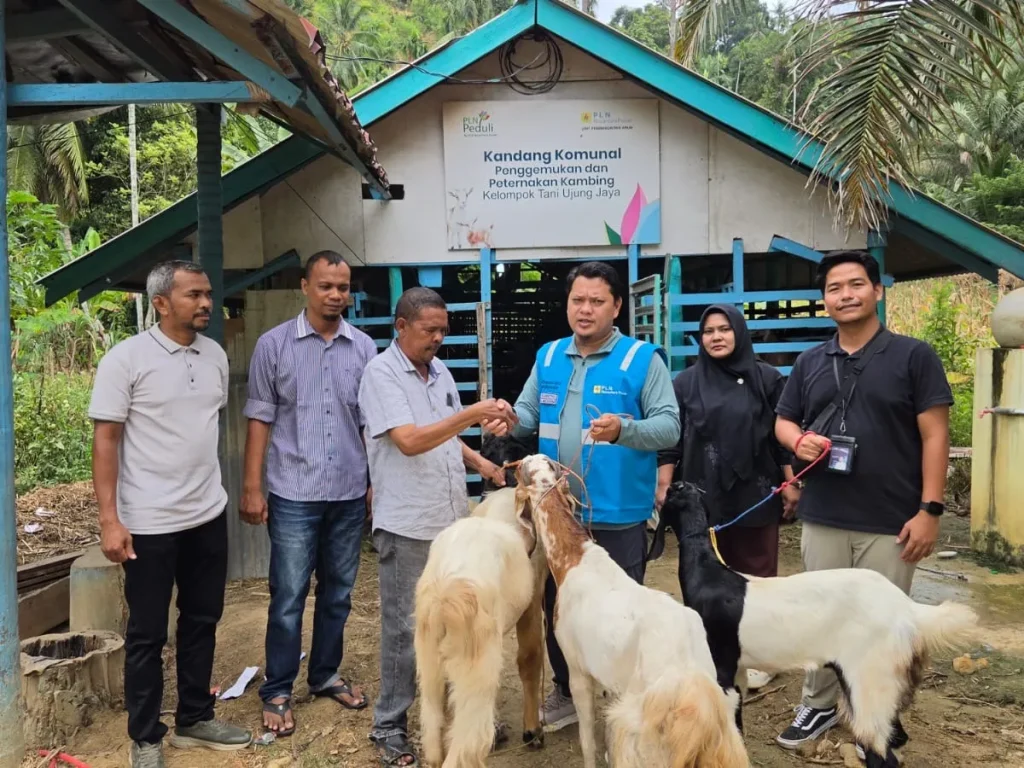 PLN NP UP Arun Dorong Kemandirian Kelompok Tani Lewat Penggemukan dan Peternakan Kambing